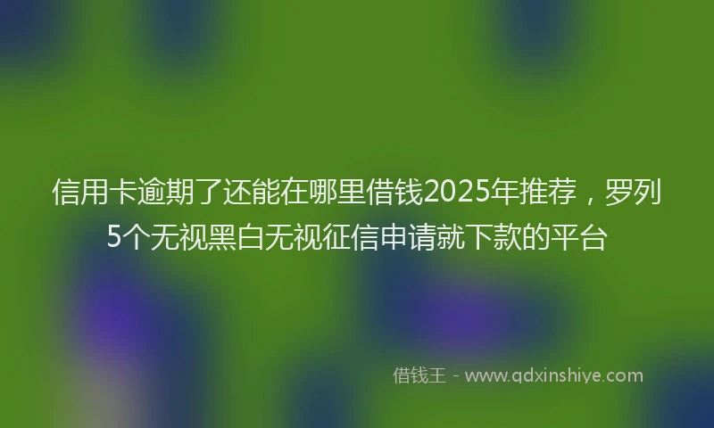 信用卡逾期了还能在哪里借钱2025年推荐，罗列5个无视黑白无视征信申请就下款的平台