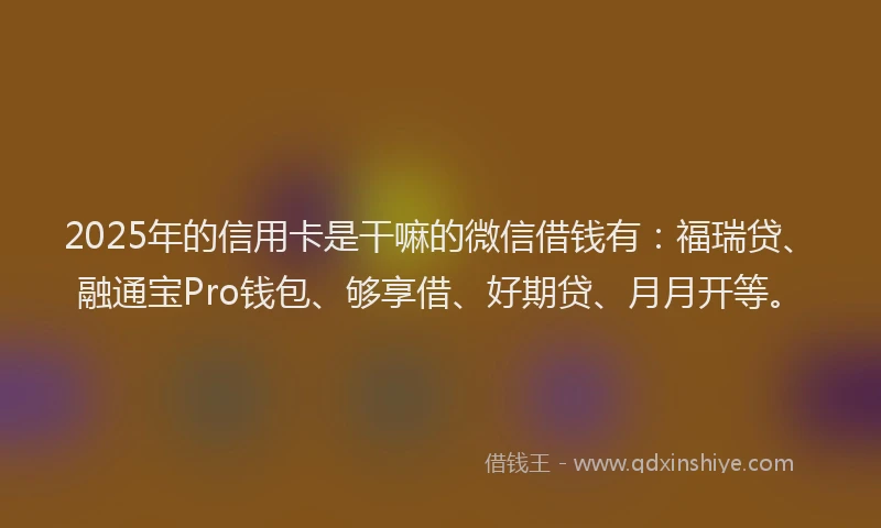 2025年的信用卡是干嘛的微信借钱有：福瑞贷、融通宝Pro钱包、够享借、好期贷、月月开等。