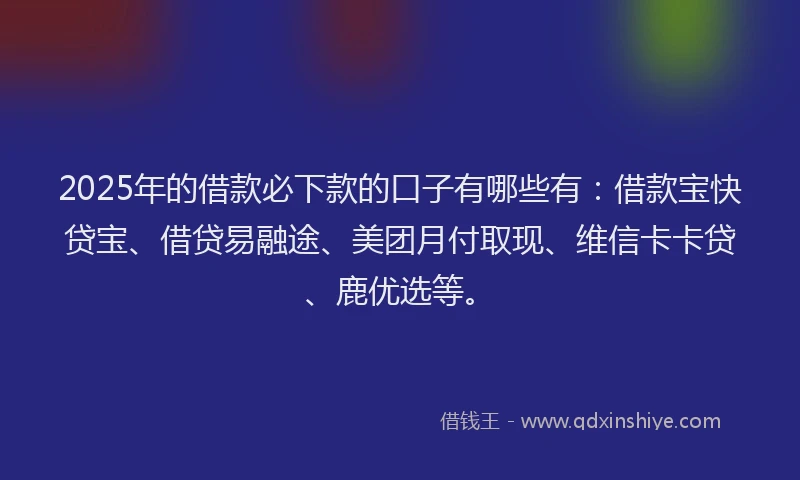 2025年的借款必下款的口子有哪些有：借款宝快贷宝、借贷易融途、美团月付取现、维信卡卡贷、鹿优选等。