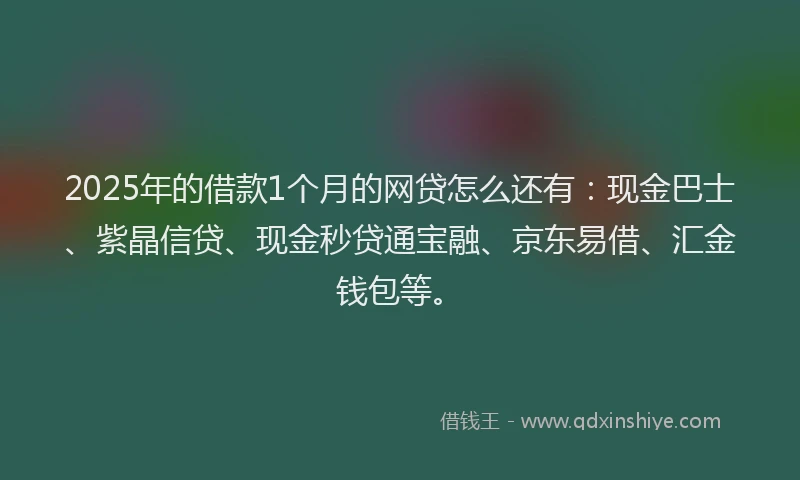 2025年的借款1个月的网贷怎么还有：现金巴士、紫晶信贷、现金秒贷通宝融、京东易借、汇金钱包等。