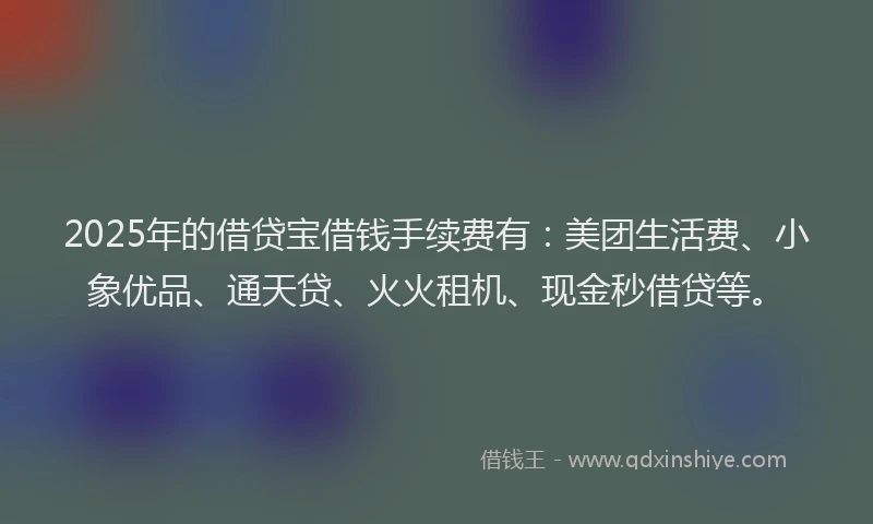 2025年的借贷宝借钱手续费有：美团生活费、小象优品、通天贷、火火租机、现金秒借贷等。
