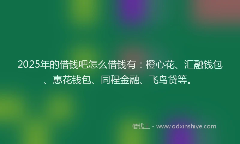 2025年的借钱吧怎么借钱有：橙心花、汇融钱包、惠花钱包、同程金融、飞鸟贷等。
