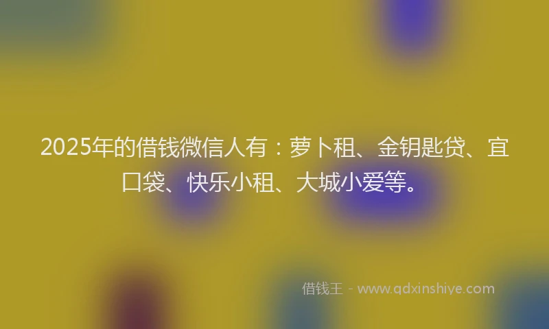 2025年的借钱微信人有：萝卜租、金钥匙贷、宜口袋、快乐小租、大城小爱等。