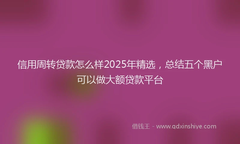 信用周转贷款怎么样2025年精选，总结五个黑户可以做大额贷款平台