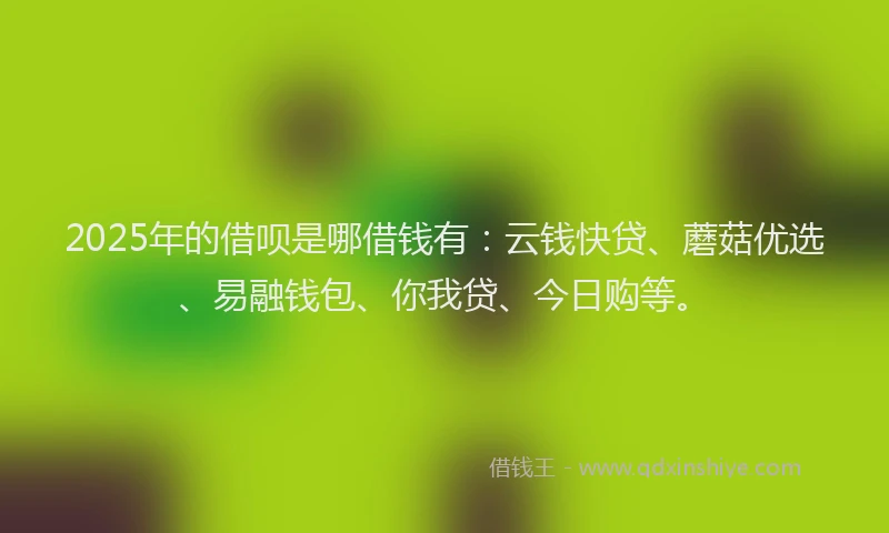 2025年的借呗是哪借钱有：云钱快贷、蘑菇优选、易融钱包、你我贷、今日购等。