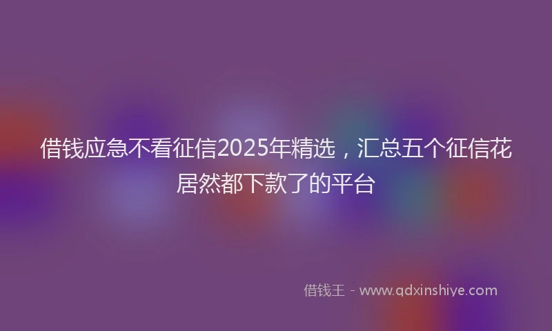 借钱应急不看征信2025年精选，汇总五个征信花居然都下款了的平台