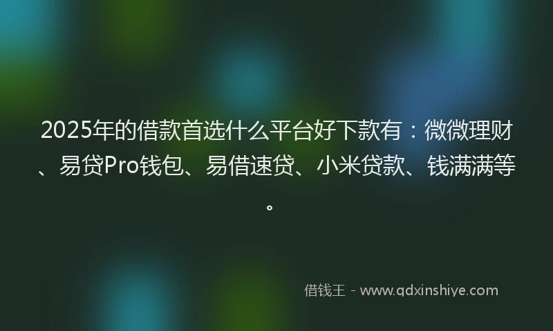 2025年的借款首选什么平台好下款有：微微理财、易贷Pro钱包、易借速贷、小米贷款、钱满满等。