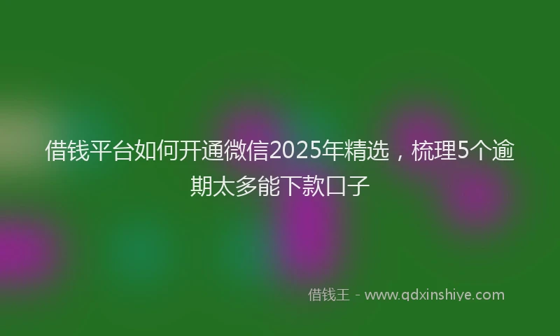 借钱平台如何开通微信2025年精选，梳理5个逾期太多能下款口子