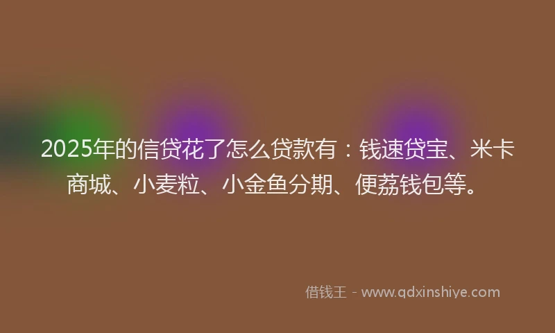 2025年的信贷花了怎么贷款有：钱速贷宝、米卡商城、小麦粒、小金鱼分期、便荔钱包等。