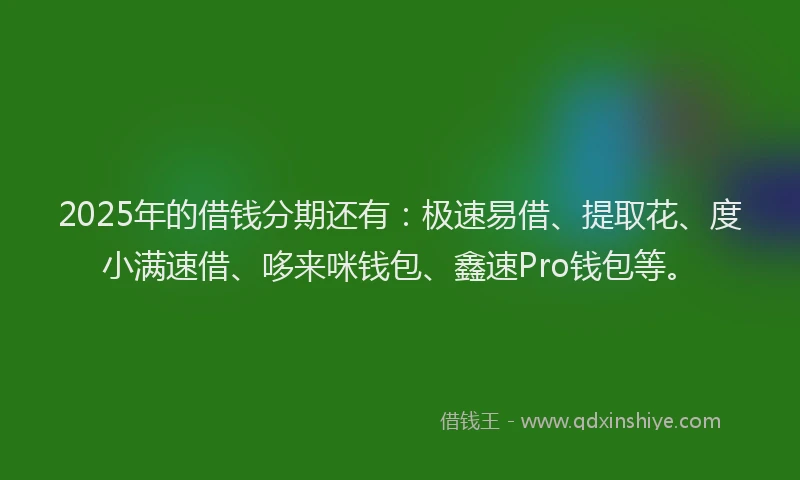 2025年的借钱分期还有：极速易借、提取花、度小满速借、哆来咪钱包、鑫速Pro钱包等。