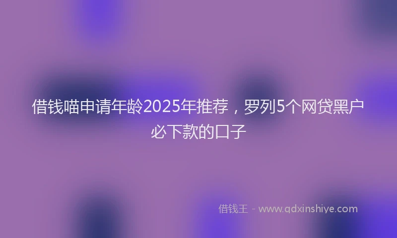 借钱喵申请年龄2025年推荐，罗列5个网贷黑户必下款的口子