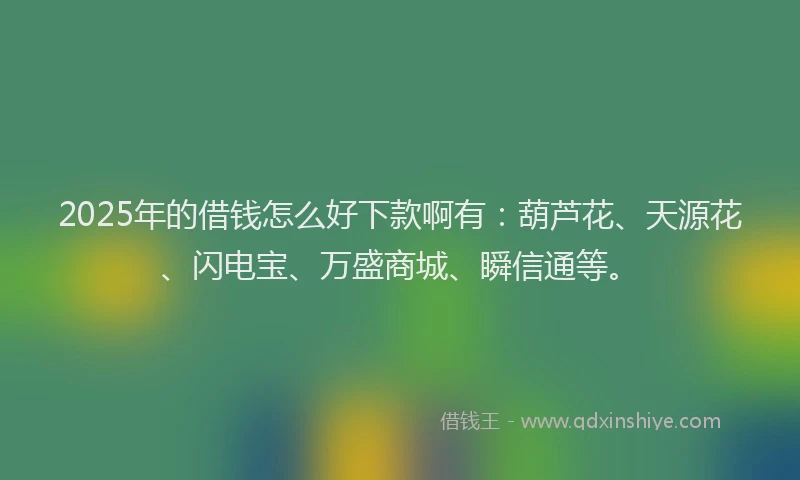 2025年的借钱怎么好下款啊有：葫芦花、天源花、闪电宝、万盛商城、瞬信通等。