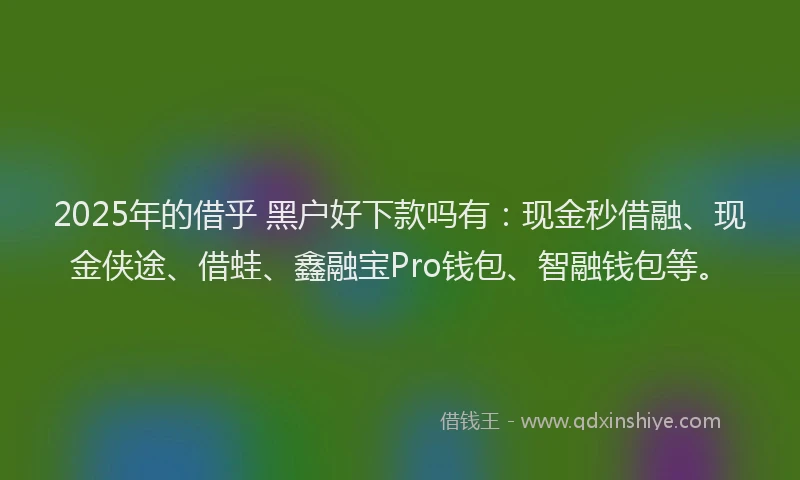 2025年的借乎 黑户好下款吗有：现金秒借融、现金侠途、借蛙、鑫融宝Pro钱包、智融钱包等。