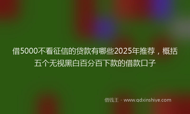 借5000不看征信的贷款有哪些2025年推荐，概括五个无视黑白百分百下款的借款口子