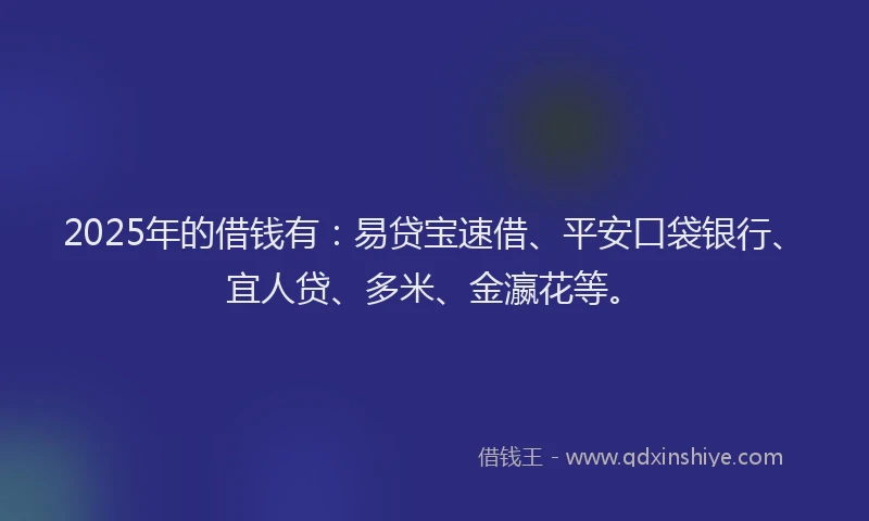 2025年的借钱有：易贷宝速借、平安口袋银行、宜人贷、多米、金瀛花等。