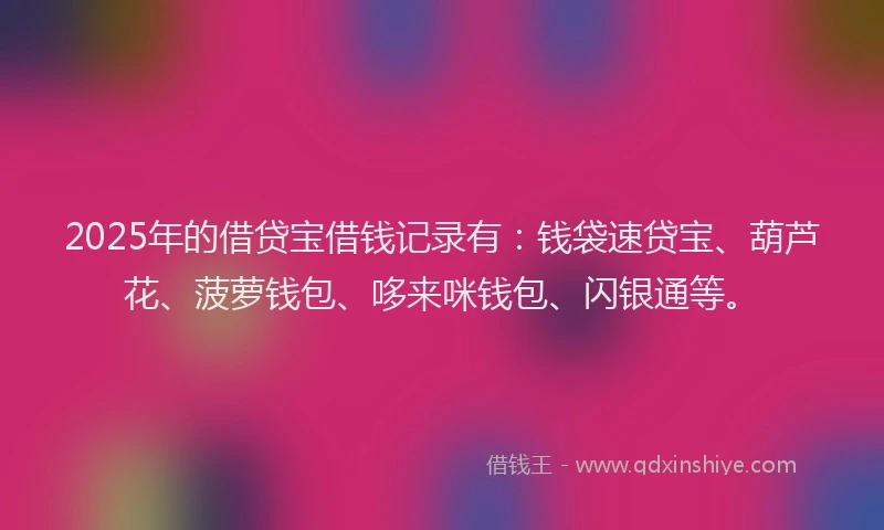 2025年的借贷宝借钱记录有：钱袋速贷宝、葫芦花、菠萝钱包、哆来咪钱包、闪银通等。