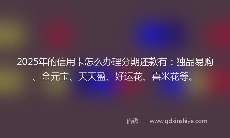 2025年的信用卡怎么办理分期还款有：独品易购、金元宝、天天盈、好运花、喜米花等。