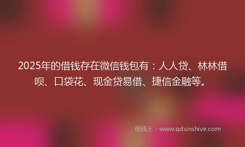 2025年的借钱存在微信钱包有：人人贷、林林借呗、口袋花、现金贷易借、捷信金融等。