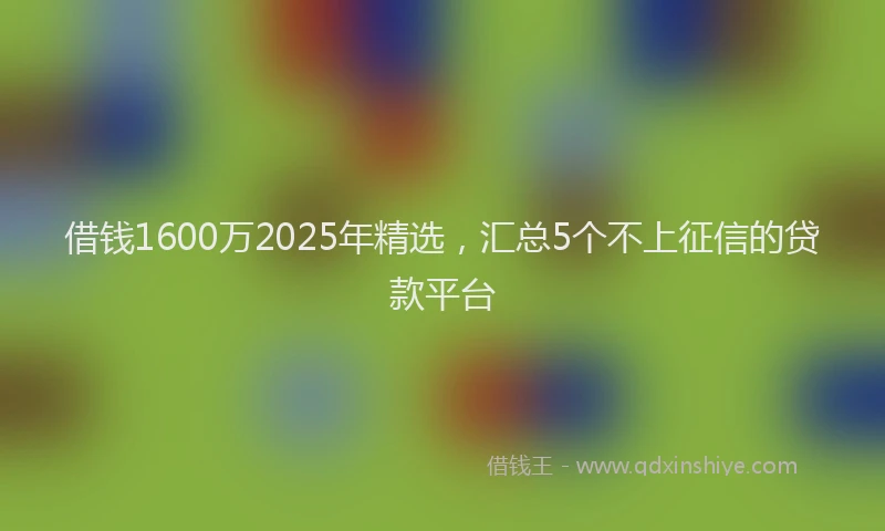 借钱1600万2025年精选，汇总5个不上征信的贷款平台