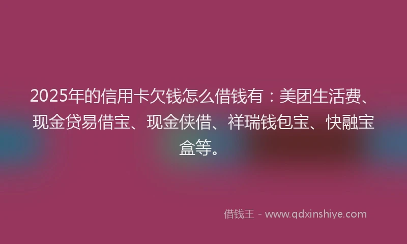 2025年的信用卡欠钱怎么借钱有：美团生活费、现金贷易借宝、现金侠借、祥瑞钱包宝、快融宝盒等。