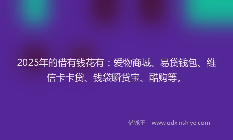 2025年的借有钱花有：爱物商城、易贷钱包、维信卡卡贷、钱袋瞬贷宝、酷购等。
