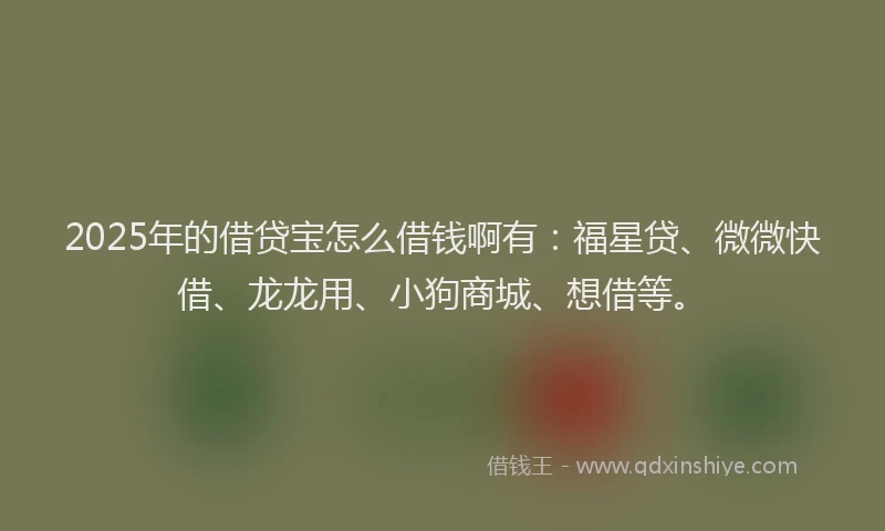 2025年的借贷宝怎么借钱啊有：福星贷、微微快借、龙龙用、小狗商城、想借等。