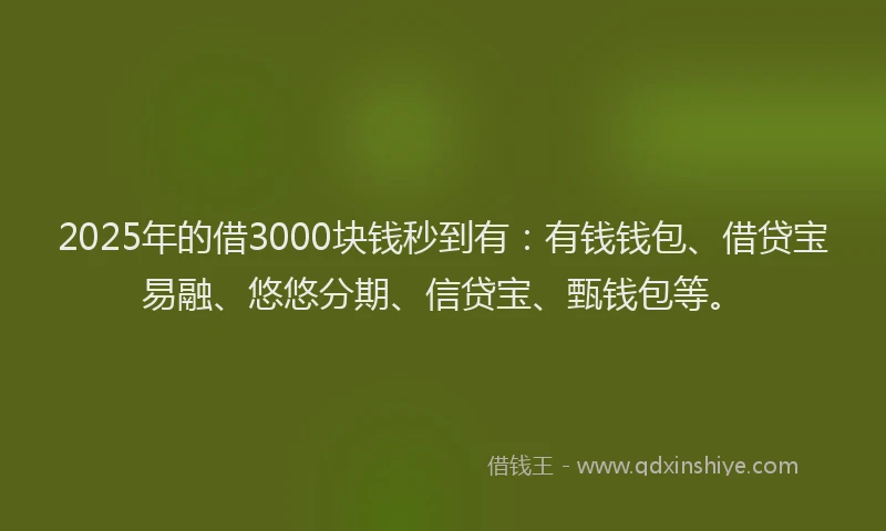2025年的借3000块钱秒到有：有钱钱包、借贷宝易融、悠悠分期、信贷宝、甄钱包等。