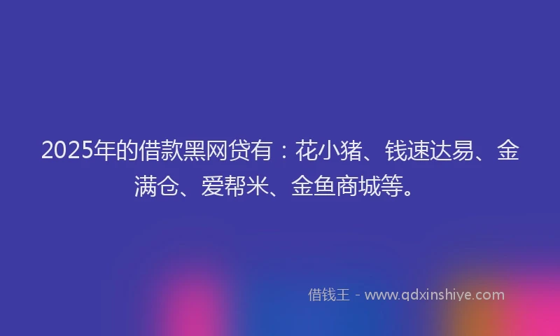 2025年的借款黑网贷有：花小猪、钱速达易、金满仓、爱帮米、金鱼商城等。