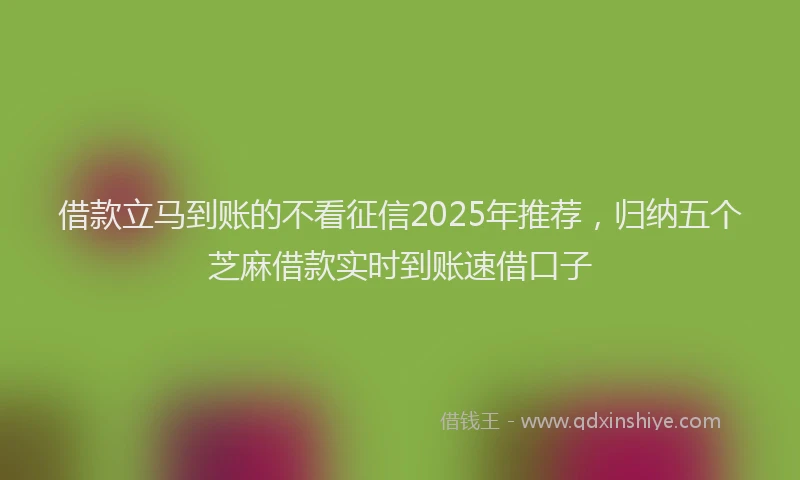 借款立马到账的不看征信2025年推荐，归纳五个芝麻借款实时到账速借口子