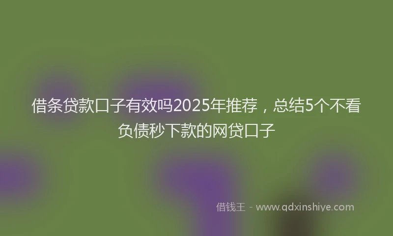 借条贷款口子有效吗2025年推荐，总结5个不看负债秒下款的网贷口子