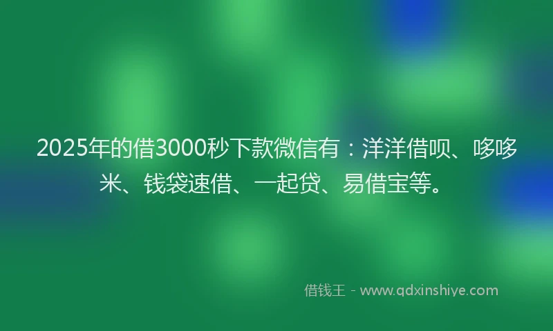 2025年的借3000秒下款微信有：洋洋借呗、哆哆米、钱袋速借、一起贷、易借宝等。