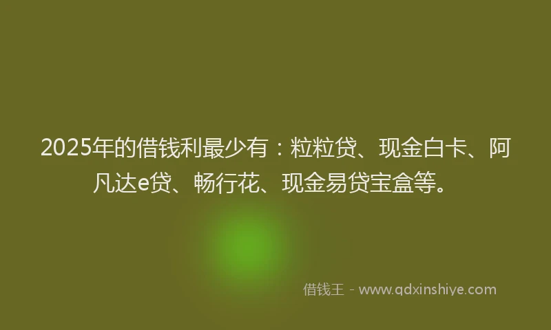 2025年的借钱利最少有：粒粒贷、现金白卡、阿凡达e贷、畅行花、现金易贷宝盒等。