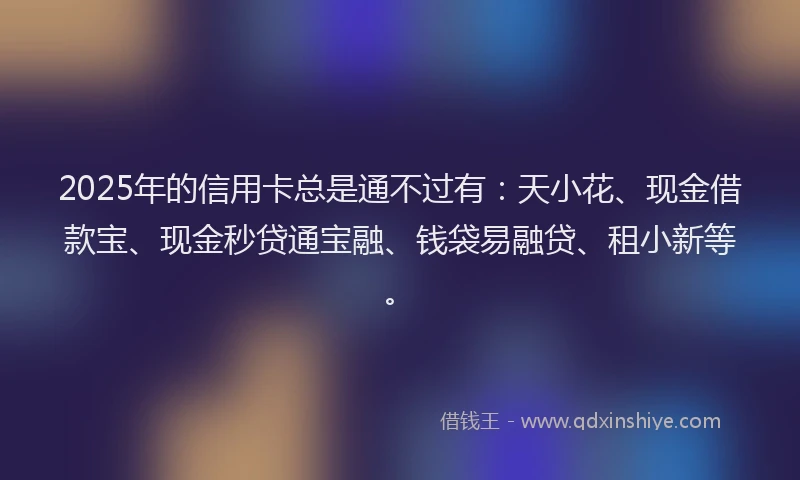 2025年的信用卡总是通不过有：天小花、现金借款宝、现金秒贷通宝融、钱袋易融贷、租小新等。