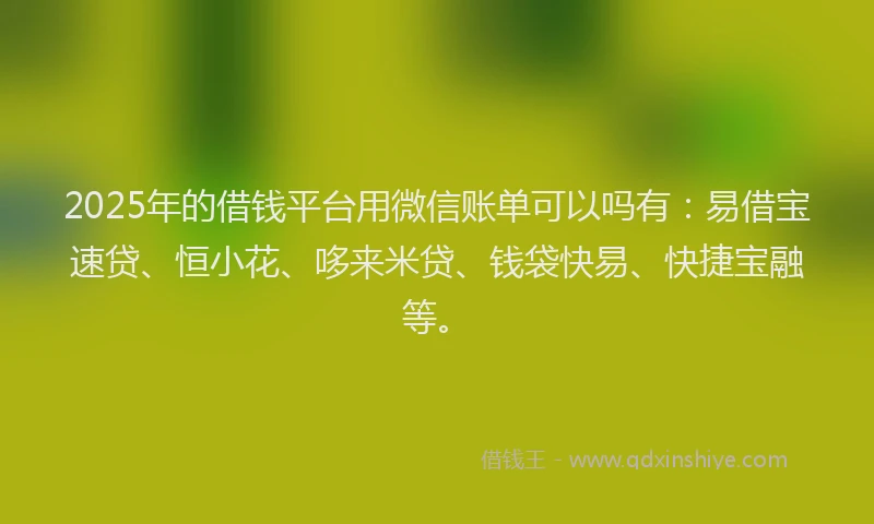2025年的借钱平台用微信账单可以吗有：易借宝速贷、恒小花、哆来米贷、钱袋快易、快捷宝融等。