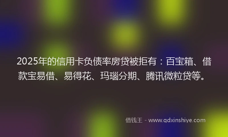 2025年的信用卡负债率房贷被拒有：百宝箱、借款宝易借、易得花、玛瑙分期、腾讯微粒贷等。