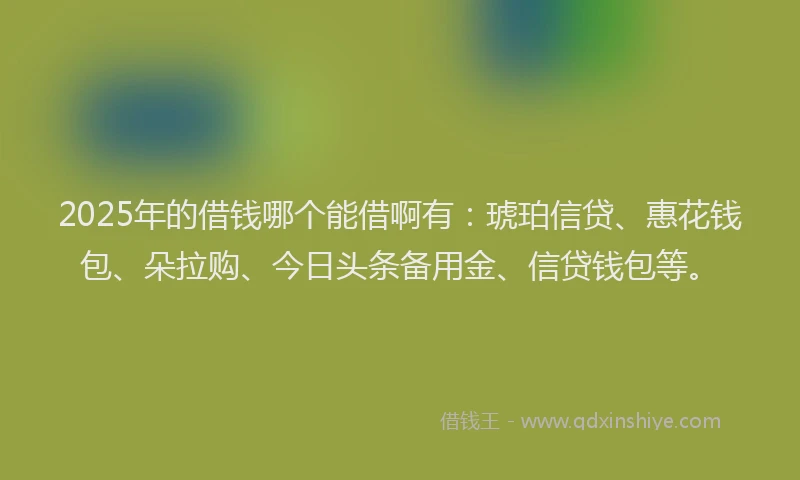2025年的借钱哪个能借啊有：琥珀信贷、惠花钱包、朵拉购、今日头条备用金、信贷钱包等。