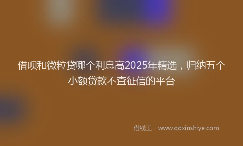 借呗和微粒贷哪个利息高2025年精选，归纳五个小额贷款不查征信的平台