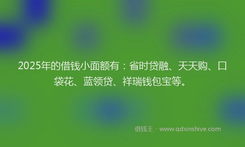 2025年的借钱小面额有：省时贷融、天天购、口袋花、蓝领贷、祥瑞钱包宝等。