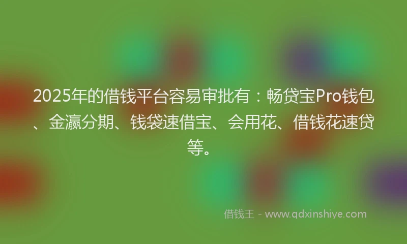 2025年的借钱平台容易审批有：畅贷宝Pro钱包、金瀛分期、钱袋速借宝、会用花、借钱花速贷等。