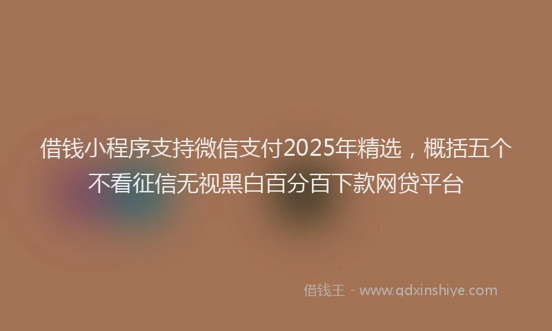 借钱小程序支持微信支付2025年精选，概括五个不看征信无视黑白百分百下款网贷平台