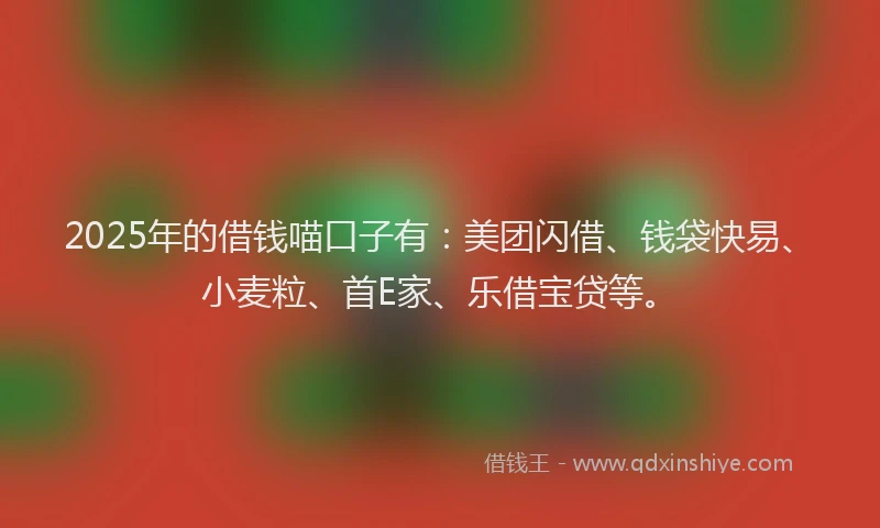 2025年的借钱喵口子有：美团闪借、钱袋快易、小麦粒、首E家、乐借宝贷等。
