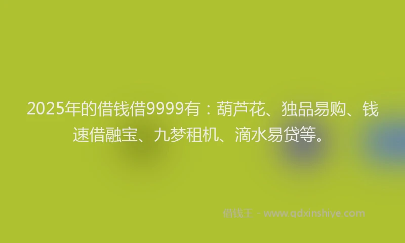 2025年的借钱借9999有:葫芦花、独品易购、钱速借融宝、九梦租机、滴水易贷等。