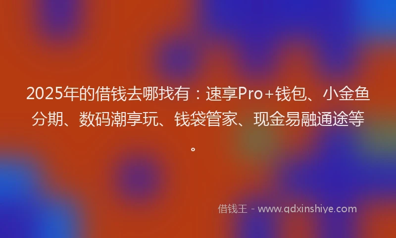 2025年的借钱去哪找有：速享Pro+钱包、小金鱼分期、数码潮享玩、钱袋管家、现金易融通途等。