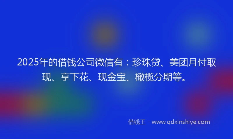 2025年的借钱公司微信有：珍珠贷、美团月付取现、享下花、现金宝、橄榄分期等。