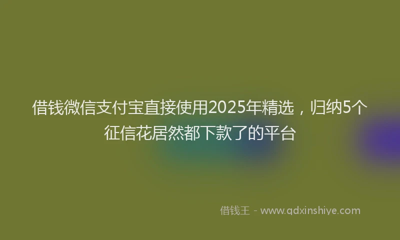 借钱微信支付宝直接使用2025年精选，归纳5个征信花居然都下款了的平台