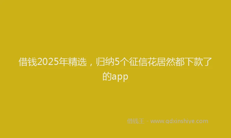 借钱2025年精选，归纳5个征信花居然都下款了的app