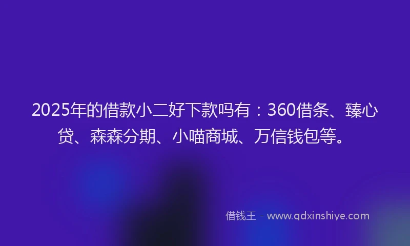 2025年的借款小二好下款吗有：360借条、臻心贷、森森分期、小喵商城、万信钱包等。