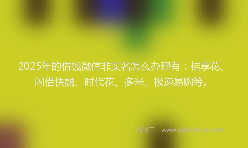 2025年的借钱微信非实名怎么办理有：桔享花、闪借快融、时代花、多米、极速易购等。