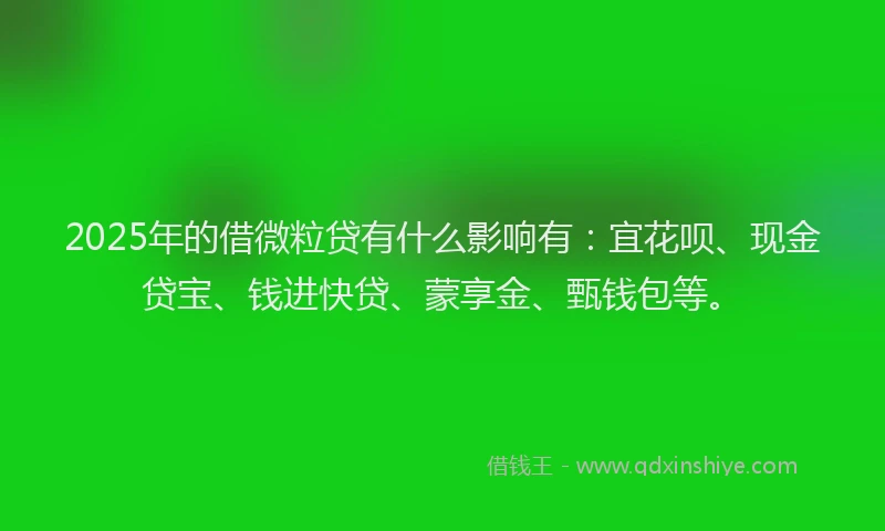 2025年的借微粒贷有什么影响有：宜花呗、现金贷宝、钱进快贷、蒙享金、甄钱包等。