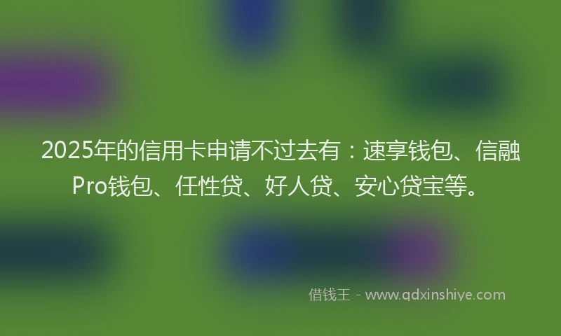 2025年的信用卡申请不过去有：速享钱包、信融Pro钱包、任性贷、好人贷、安心贷宝等。